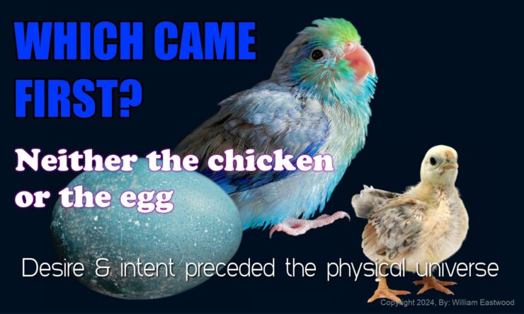 Which came first chicken egg