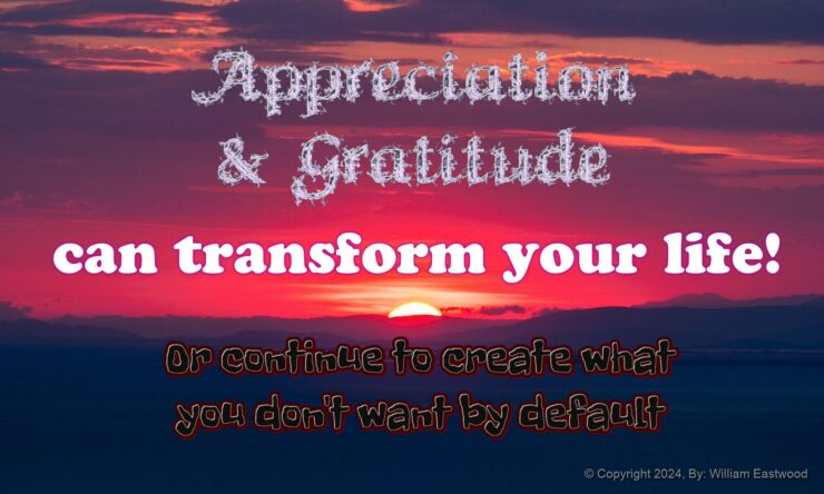 Appreciation gratitude International Philosophy